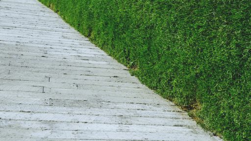 foto: Scott Webb/Unsplash