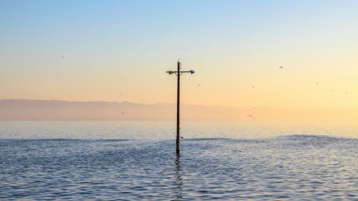 Foto: Giovanni Arechavaleta/Unsplash