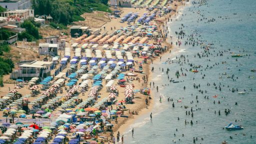 Foto: Jerome Maas/Unsplash+