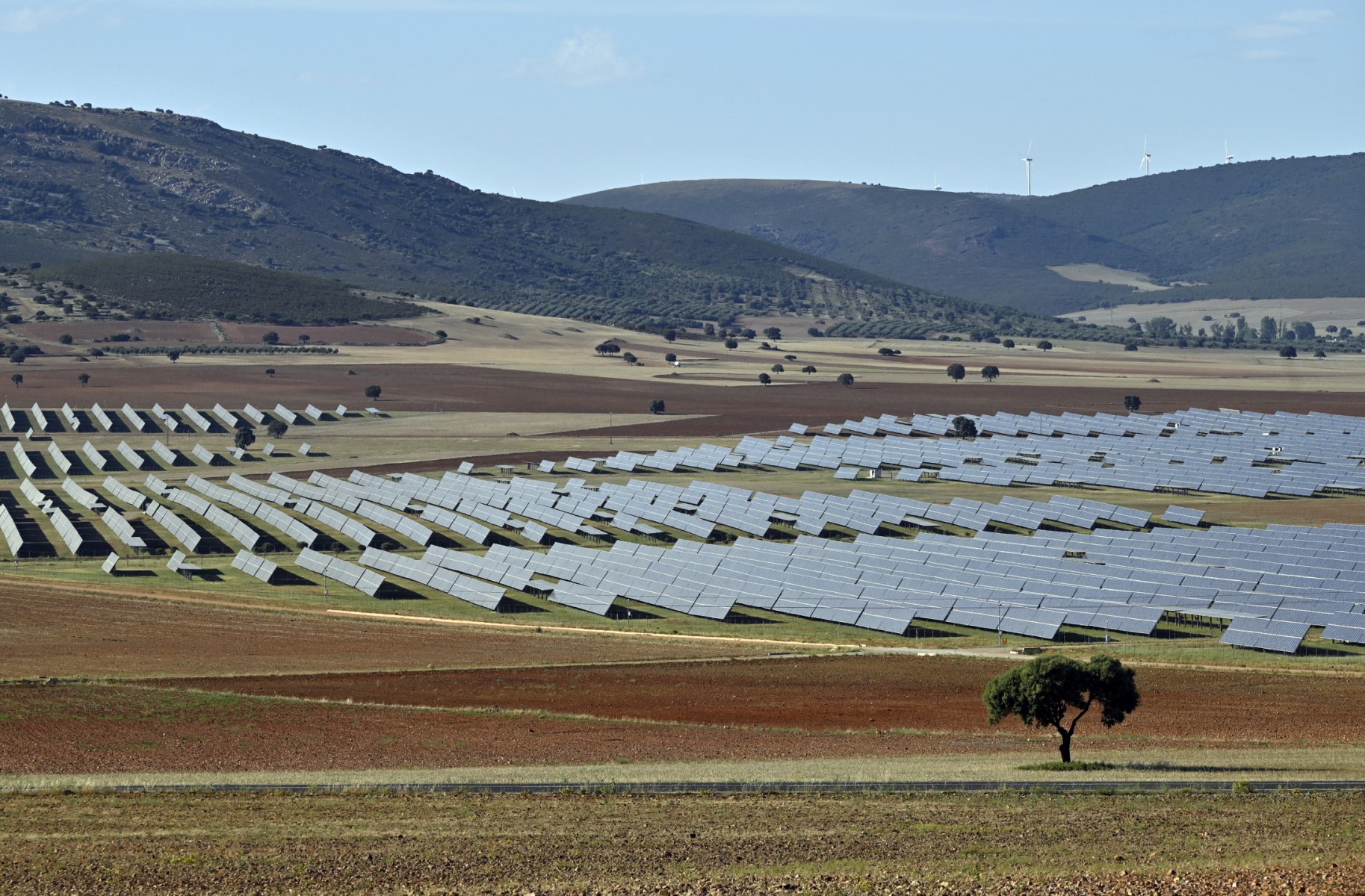 Foto: OSCAR DEL POZO / AFP