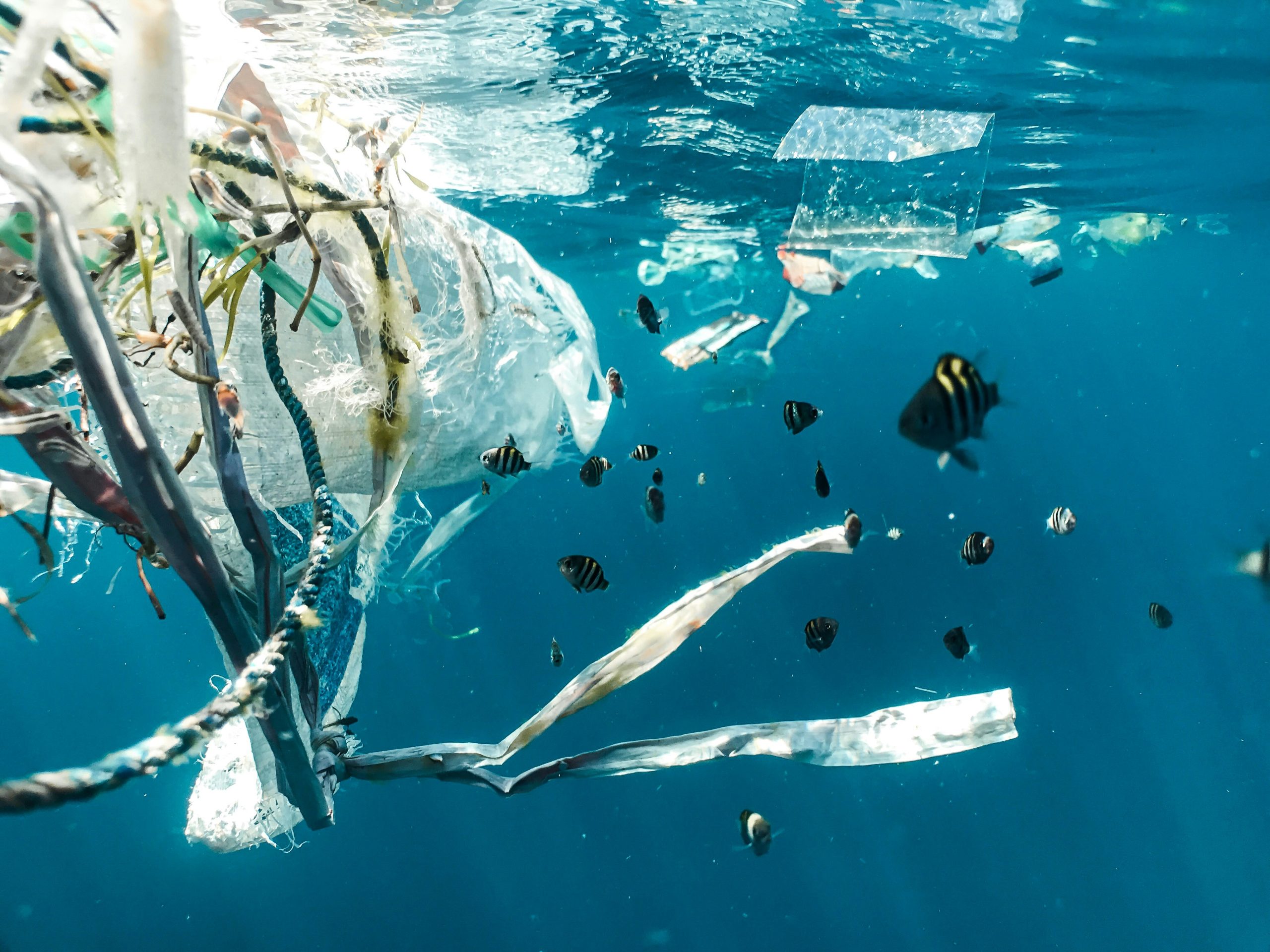 Ispod površine: nova studija otkriva raspodjelu mikroplastike kroz oceanske dubine