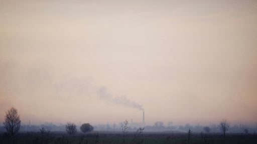 foto: Alexey Demidov/Unsplash
