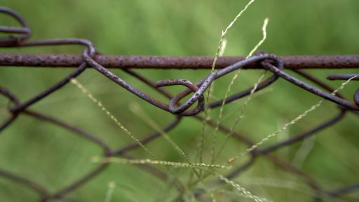 foto: Buddy AN/Unsplash