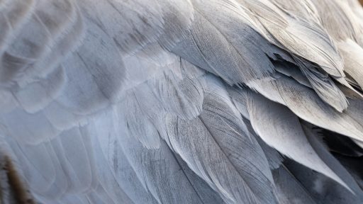 foto: Jonny Gios/Unsplash
