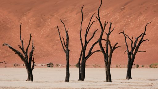 foto: Joshua Kettle/Unsplash