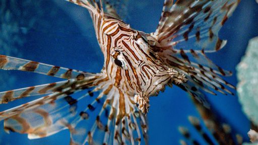 foto: Ray Harrington/Unsplash