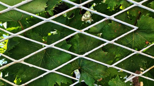 foto: Ivana Živković/Klimatski portal