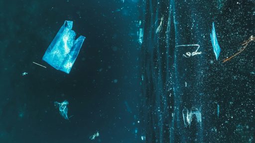 foto: Naja Bertolt Jensen/Unsplash