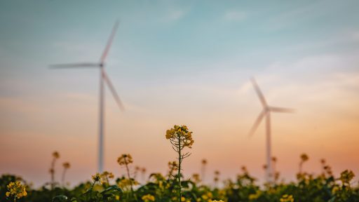 foto: Tim van der Kuip/Unsplash