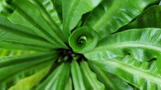 foto: Ivana Živković/Klimatski portal