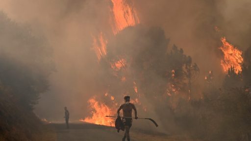 Foto: Miguel Riopa/AFP