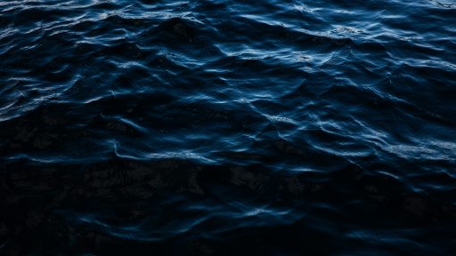 foto: Joshua Earle/Unsplash+