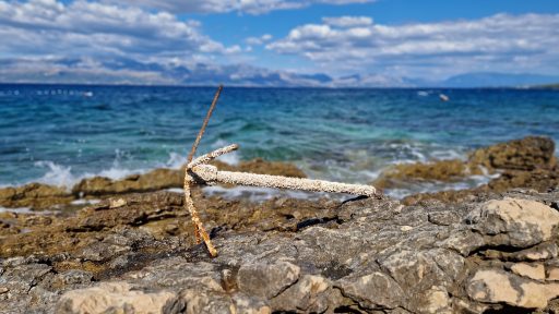 foto: Ivana Živković/Klimatski portal