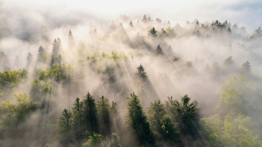 foto: Ales Krivec/Unsplash+