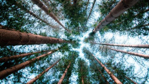 Foto: HC Digital/Unsplash