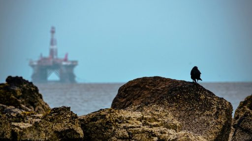 foto: Alpha Perspective/Unsplash