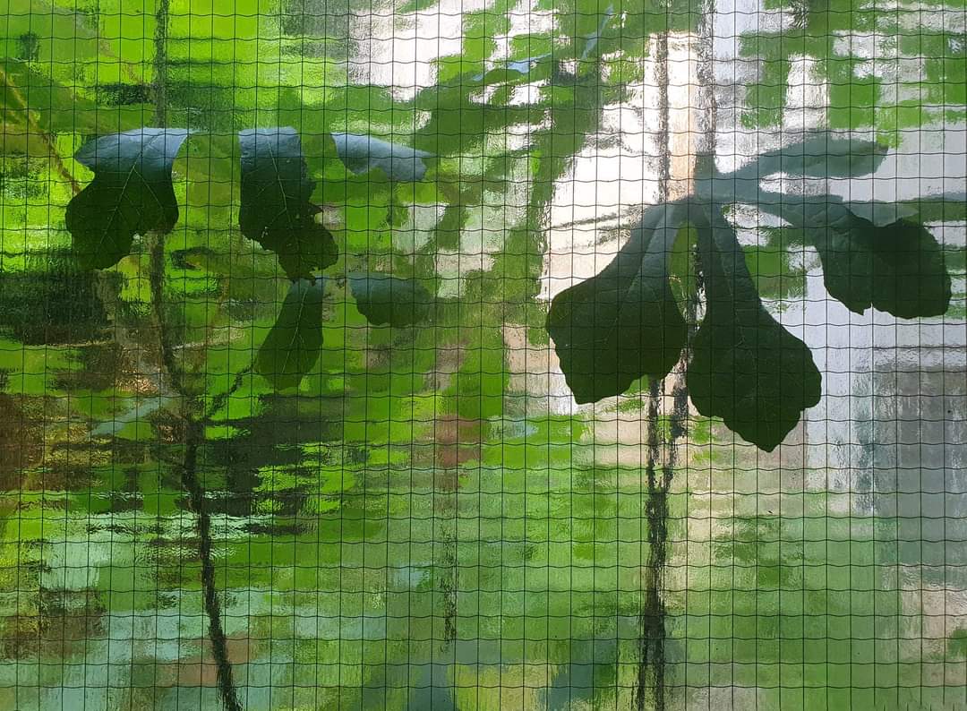 Europski klimatski cilj za 2040. u zadnji čas dogovoren – i oslabljen