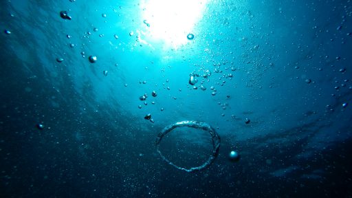 foto: Jesse van Vliet/Unsplash