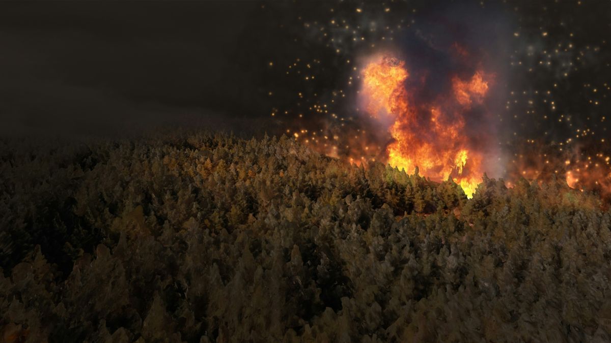 Foto: Zyanya Citlalli/Unsplash+