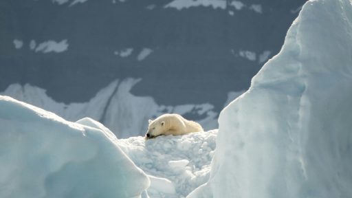 foto: Annie Spratt/Unsplash