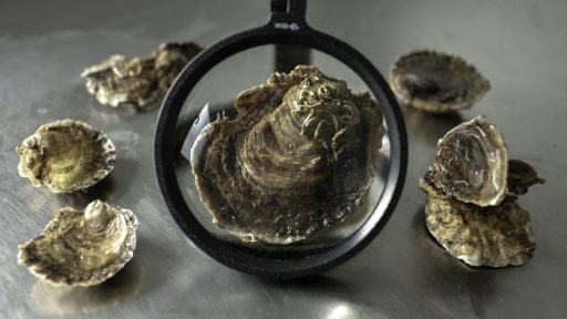 Foto: Elisabetta Zavoli