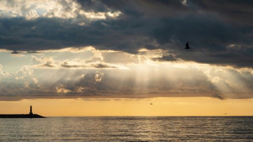 Foto: Nadiia Ploshchenko/Unsplash