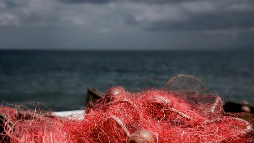 foto: Paolo Chiabrando/Unsplash