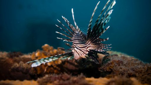 foto: Katarzyna Zygnerska/Unsplash