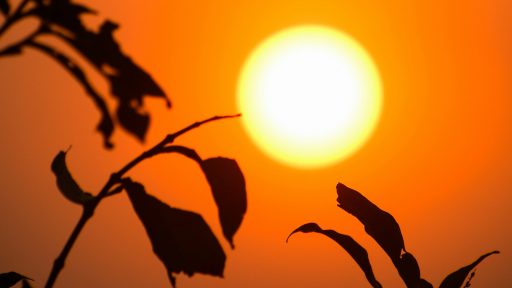 foto: Pavan Kumar Nagendla/Unsplash