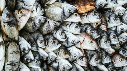 foto: Pietro Caspani/Unsplash