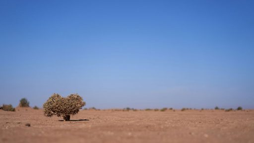 Foto: Wolfgang Hasselmann/Unsplash