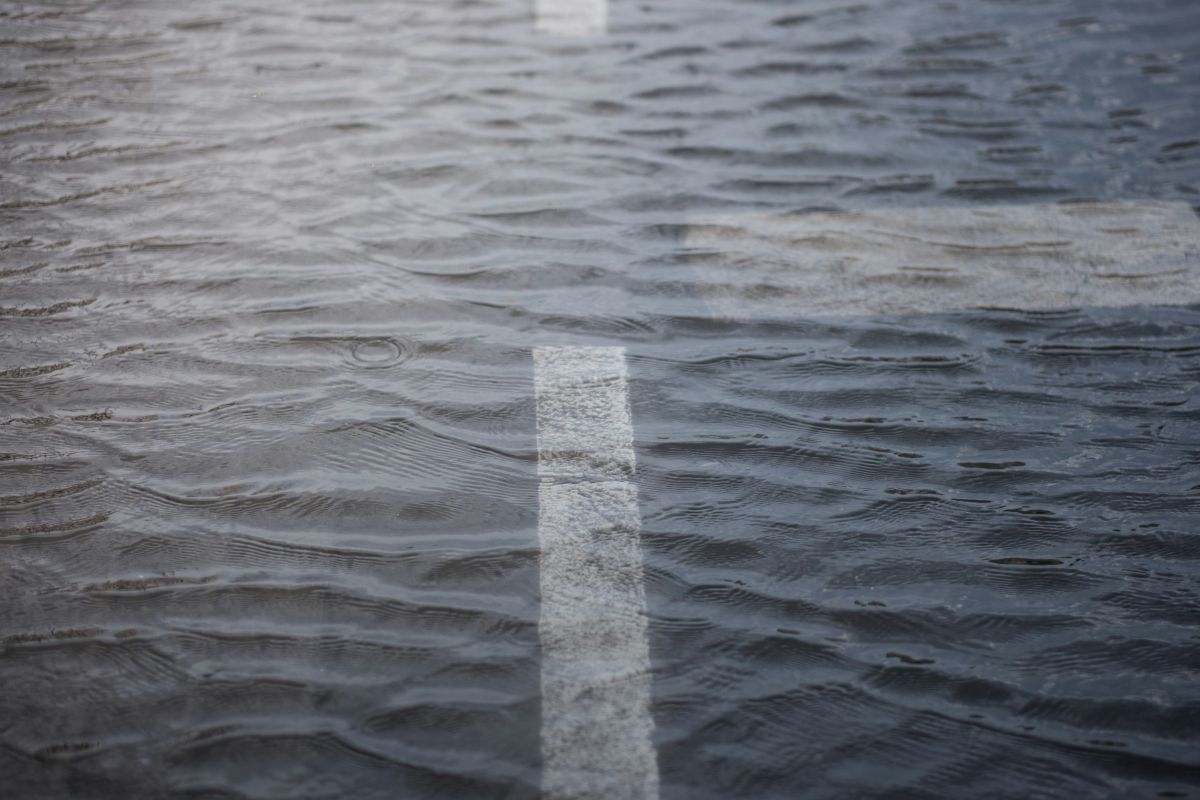 Foto: Levi Meir Clancy/Unsplash+