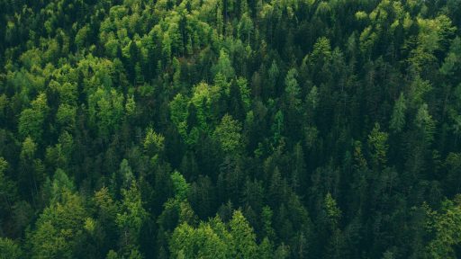 foto: Adam Vradenburg/Unsplash