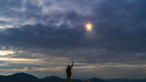 Foto: Getty Images/Unsplash+