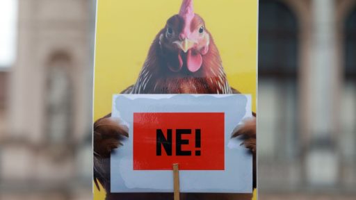 Foto: HINA/ Lana SLIVAR DOMINIĆ/ lsd