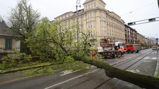 Foto: Damir Senčar/Hina

