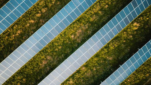 foto: Benoit Deschasaux/Unsplash+