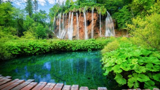 Foto: Getty Images/Unsplash+