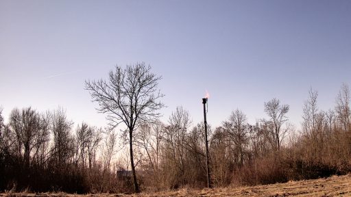 Foto: Greenpeace Hrvatska