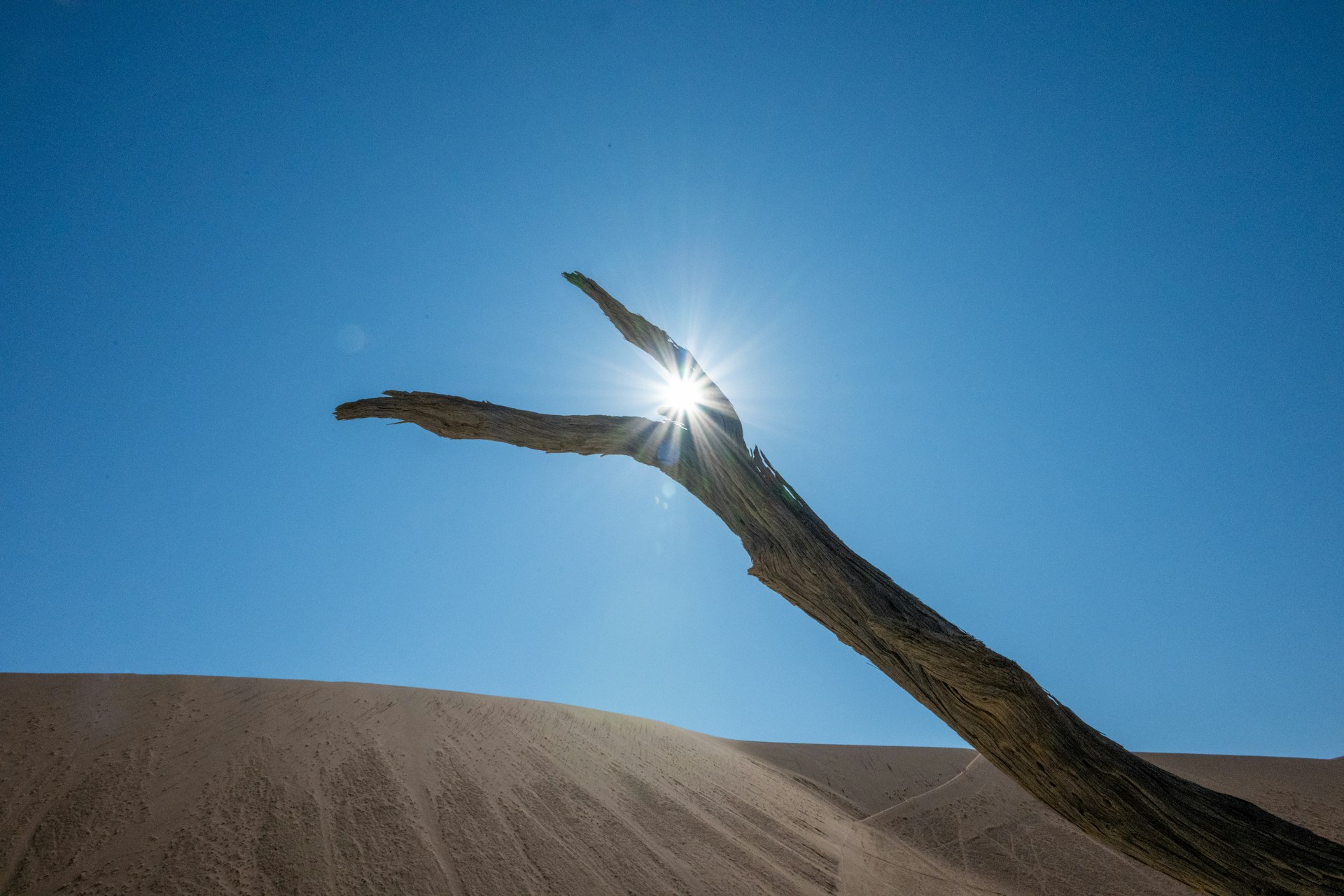 Izvor: Unsplash/Nadine Marfurt