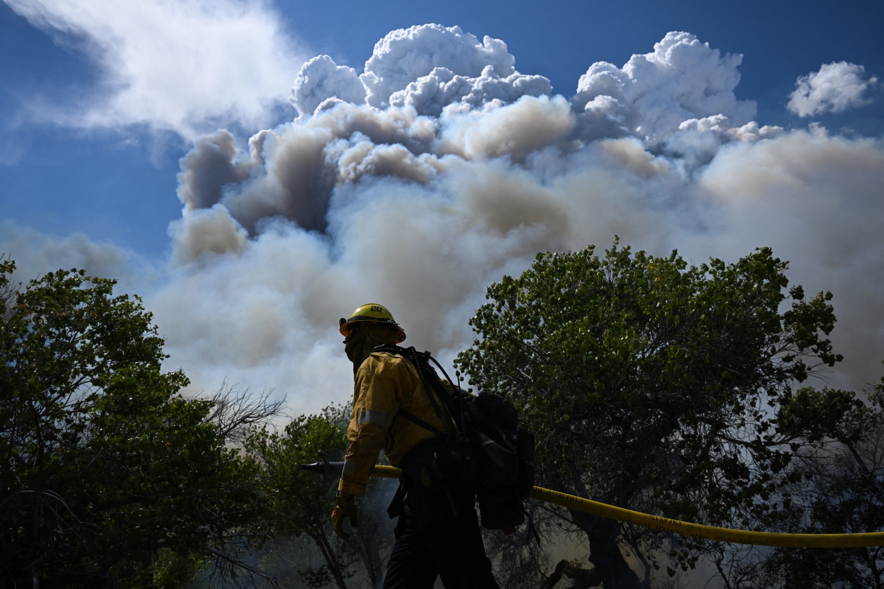 Foto: Patrick T. Fallon/AFP