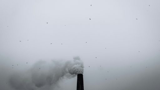 foto: Kabiur Rahman Riyad/Unsplash