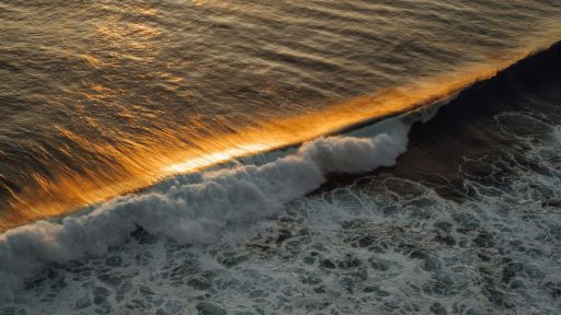 Foto: Polina Kuzovkova/Unsplash+