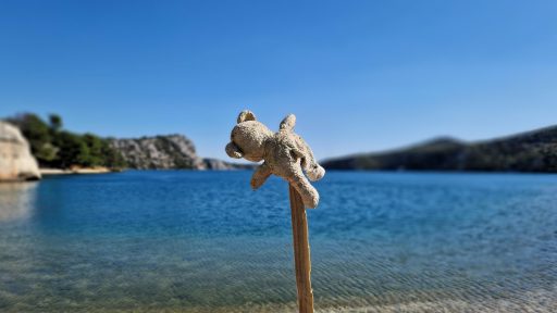 foto: Ivana Živković/Klimatski portal
