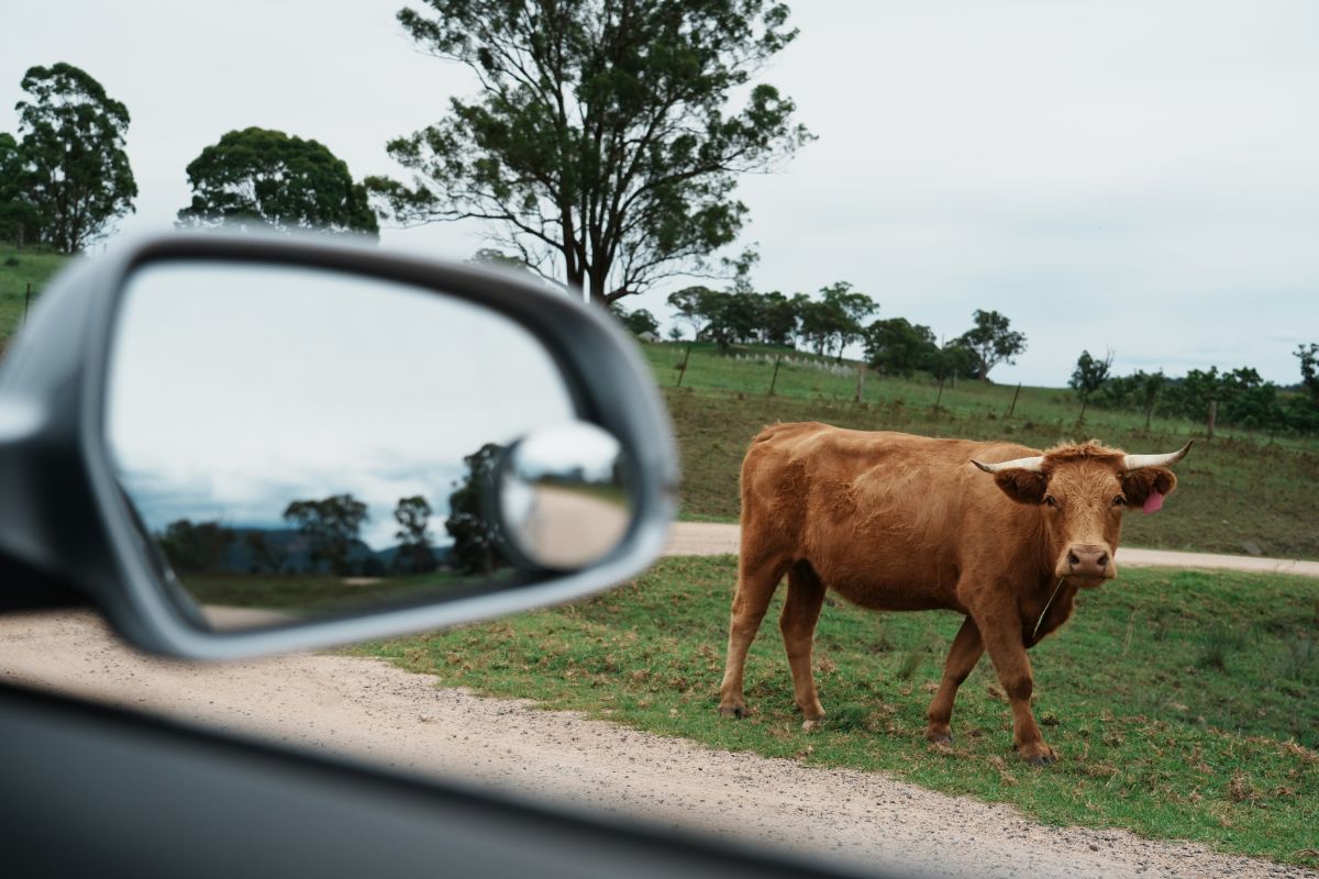Foto: XXWW/ Unsplash