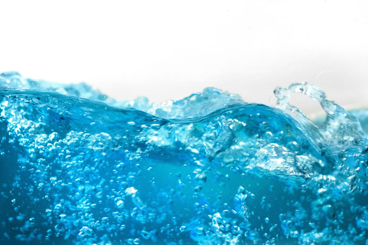 Foto: Daniel Sinoca/Unsplash
