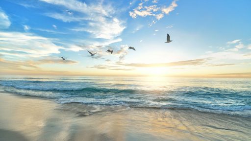 Foto: Frank McKenna/Unsplash
