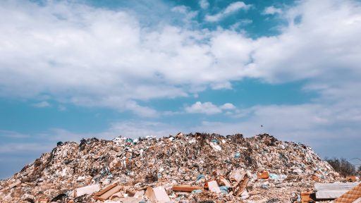 foto: Getty images/Unsplash