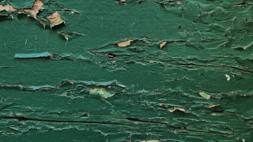 foto: Ivana Živković/Klimatski portal